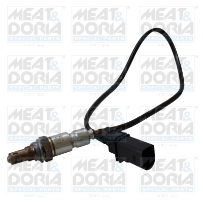 Oxygen Sensor